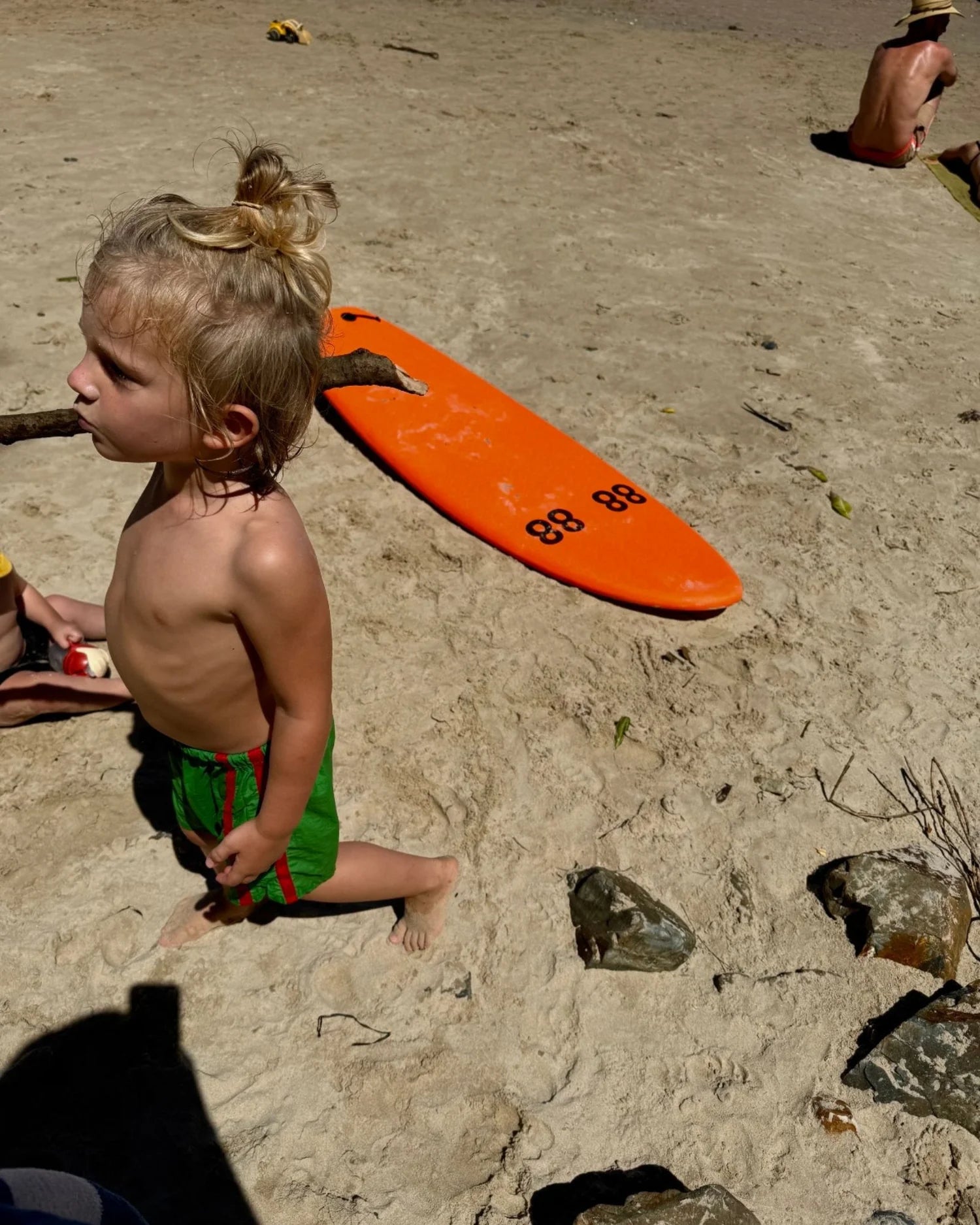 ziggy zaza twin stripe swim short - watermelon