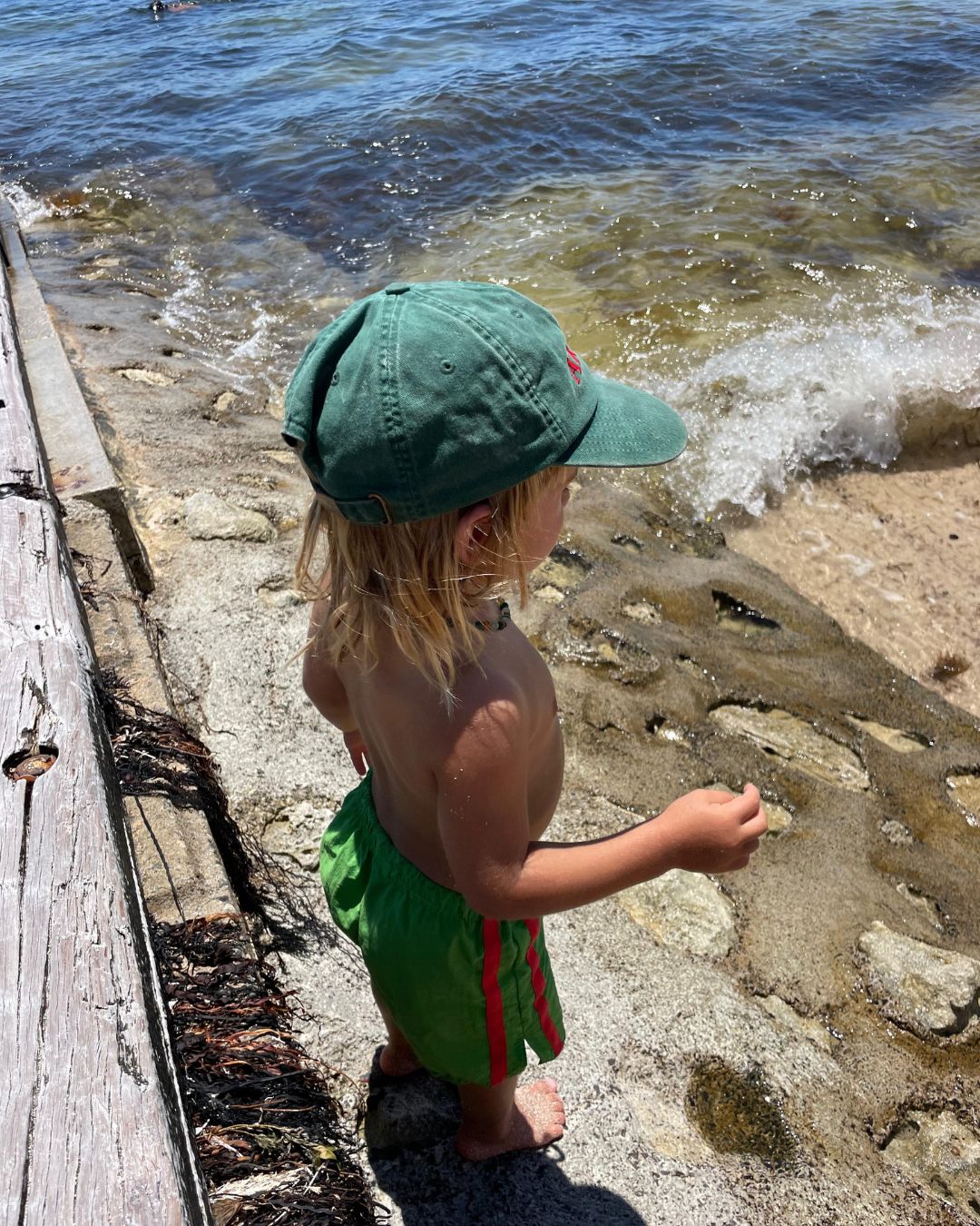 ziggy zaza twin stripe swim short - watermelon