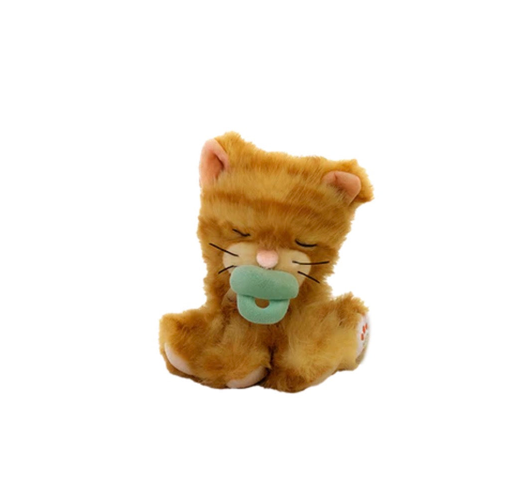 olli ella binky kitten koda - ginger