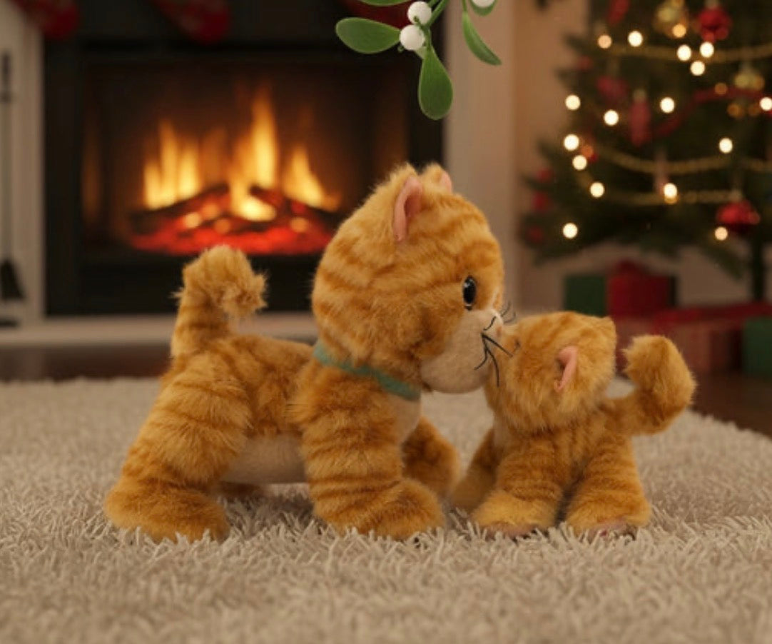 olli ella binky kitten koda - ginger