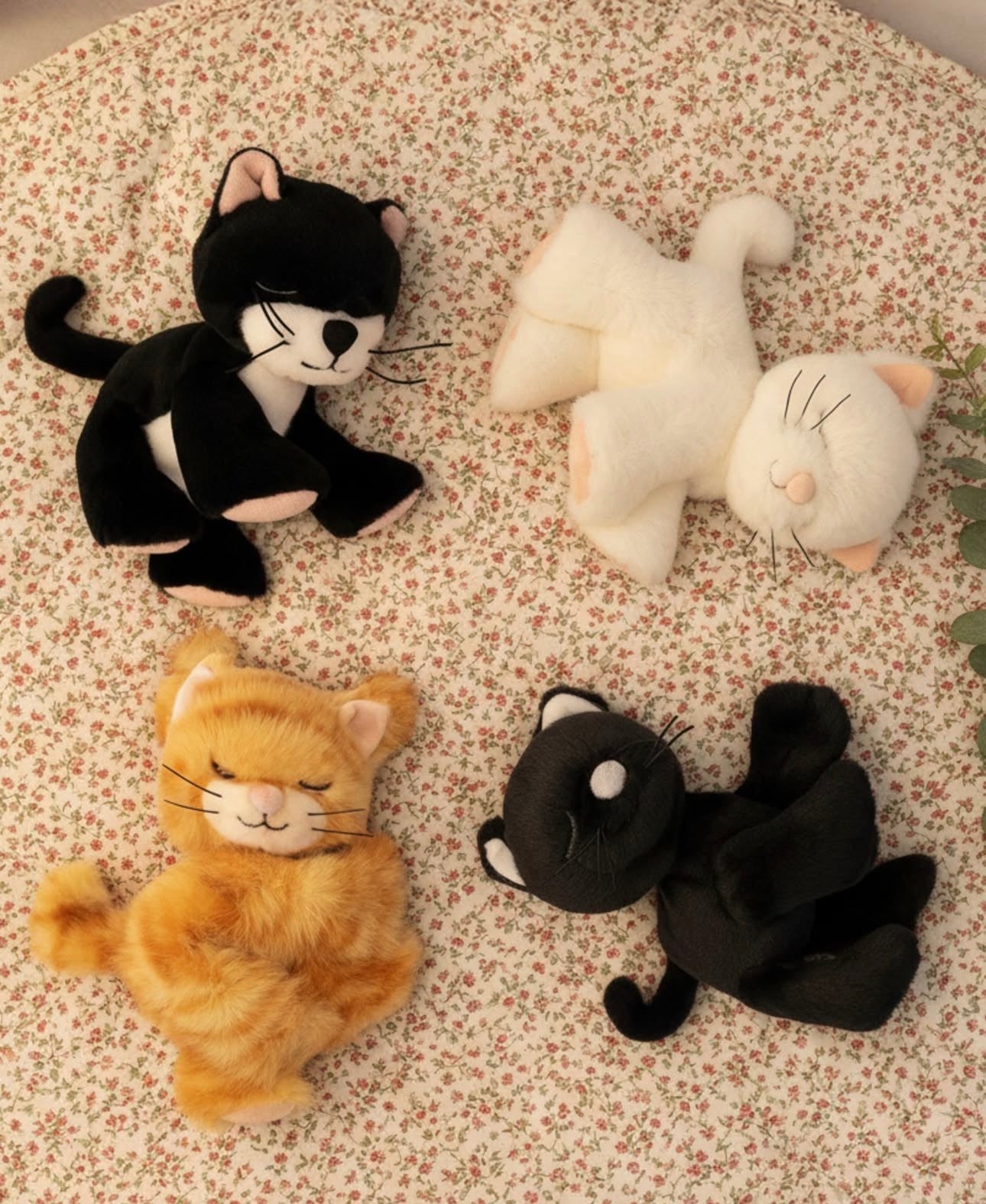 olli ella binky kitten koda - ginger