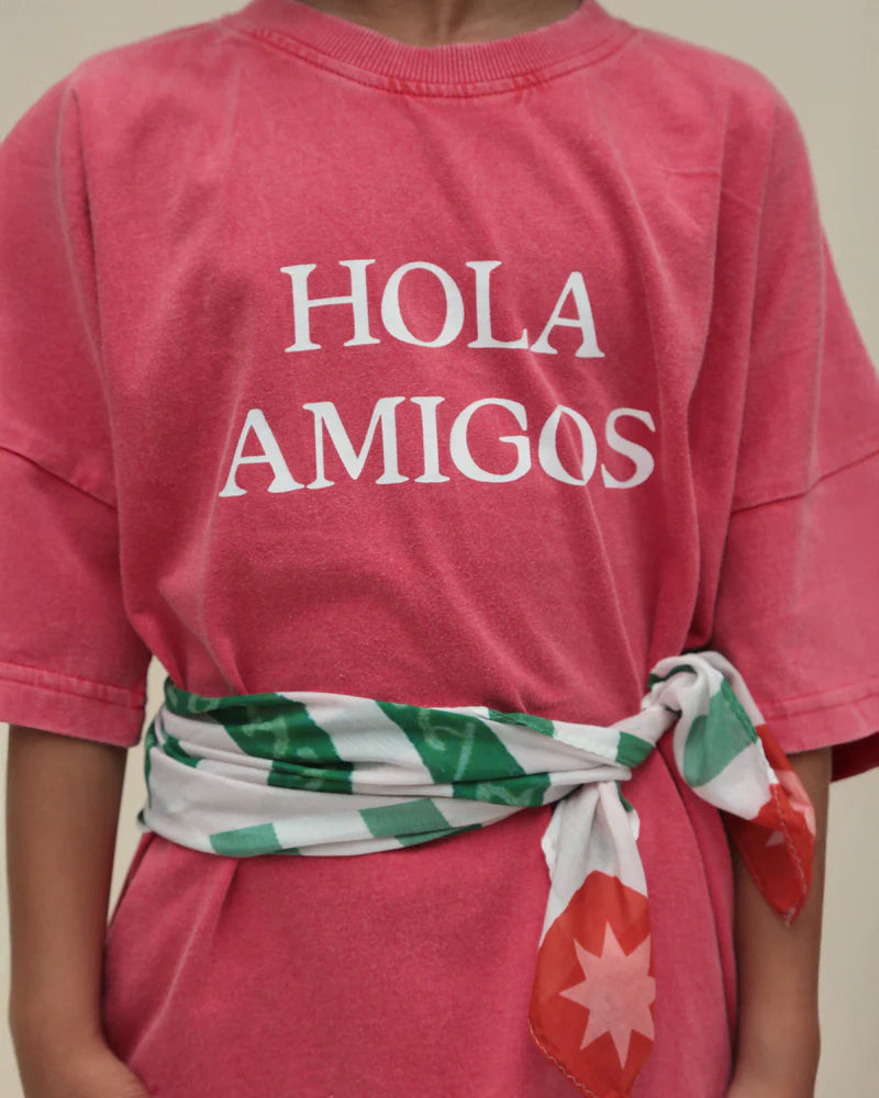 summer and storm oversized tee - hola amigos