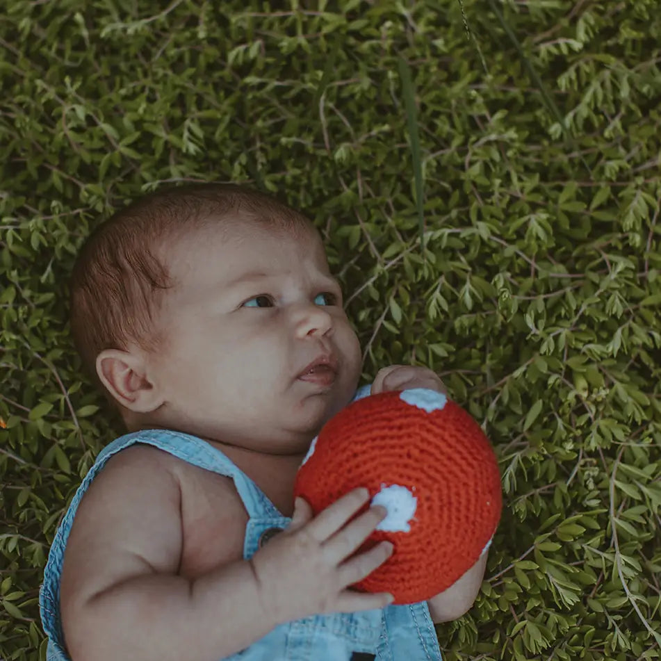 pebble child whimsical red mushroom rattle