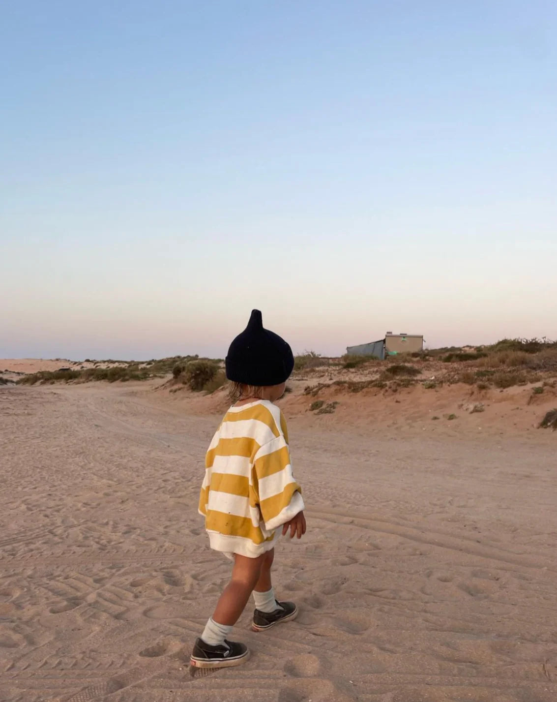 ziggy zaza toro pullover - golden - pre order