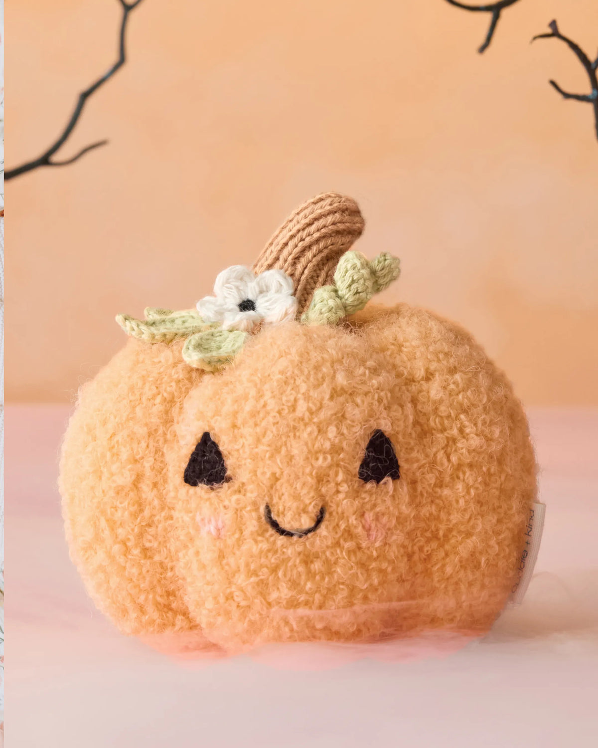 cuddle + kind baby pumpkin (moonflower)