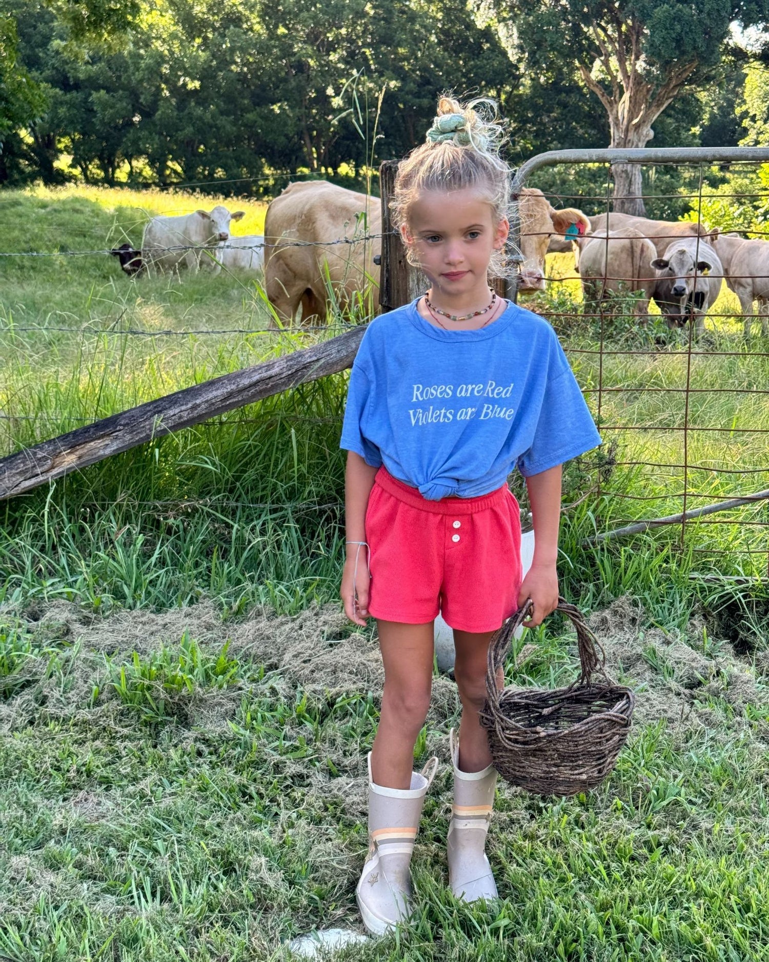 ziggy zaza roses are red tee - sky - pre order