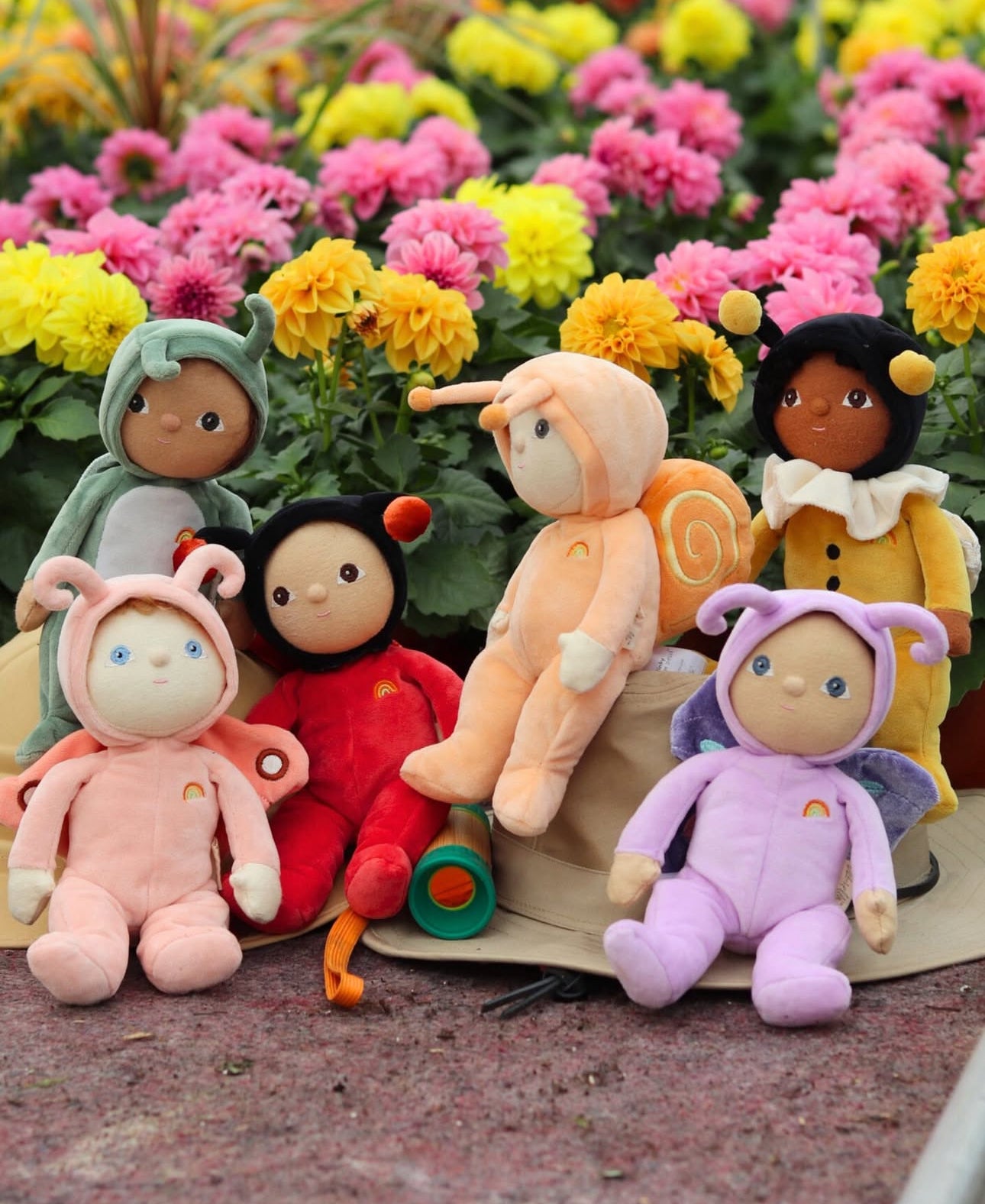 olli ella dinky dinkum - lola ladybug