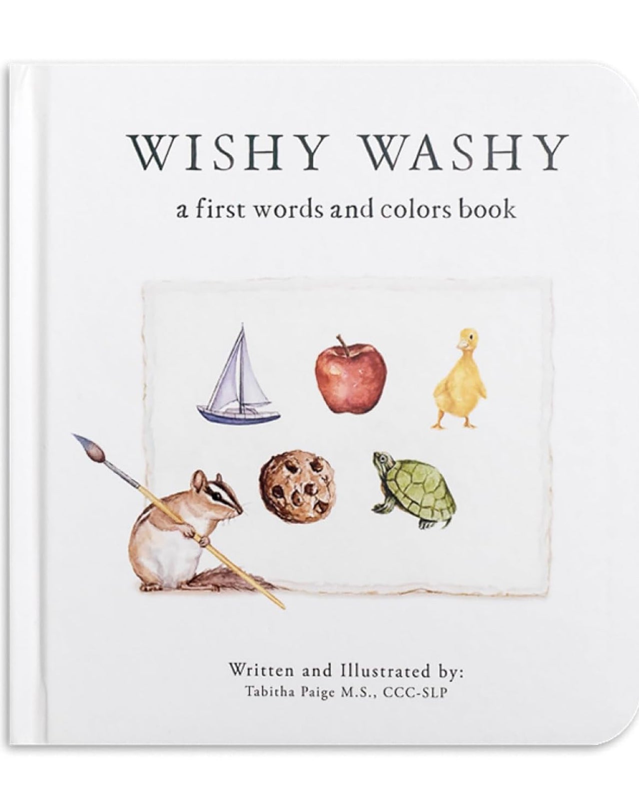 book - wishy washy : a book of first words and colours for growing minds