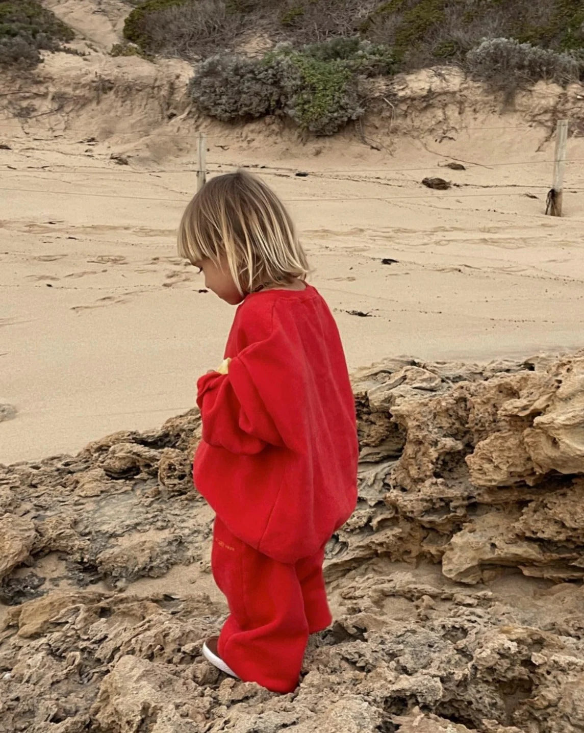 ziggy zaza rocky trackpant - racer red