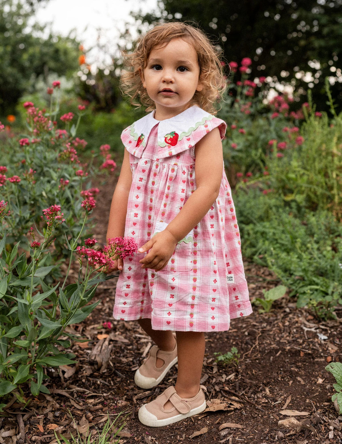 goldie + ace lucy collared very berry gingham dress - pink