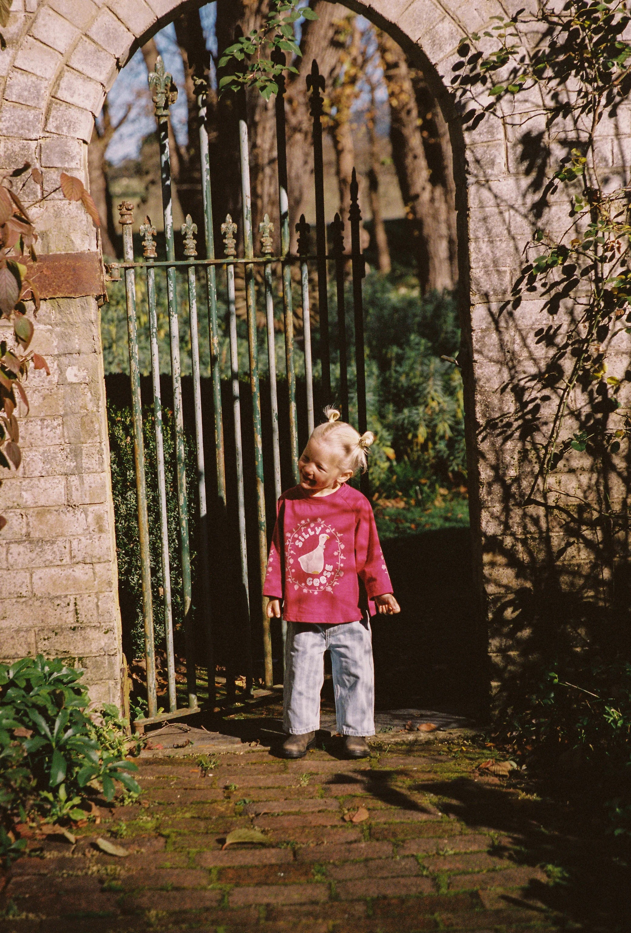 juni jnr silly goose tee