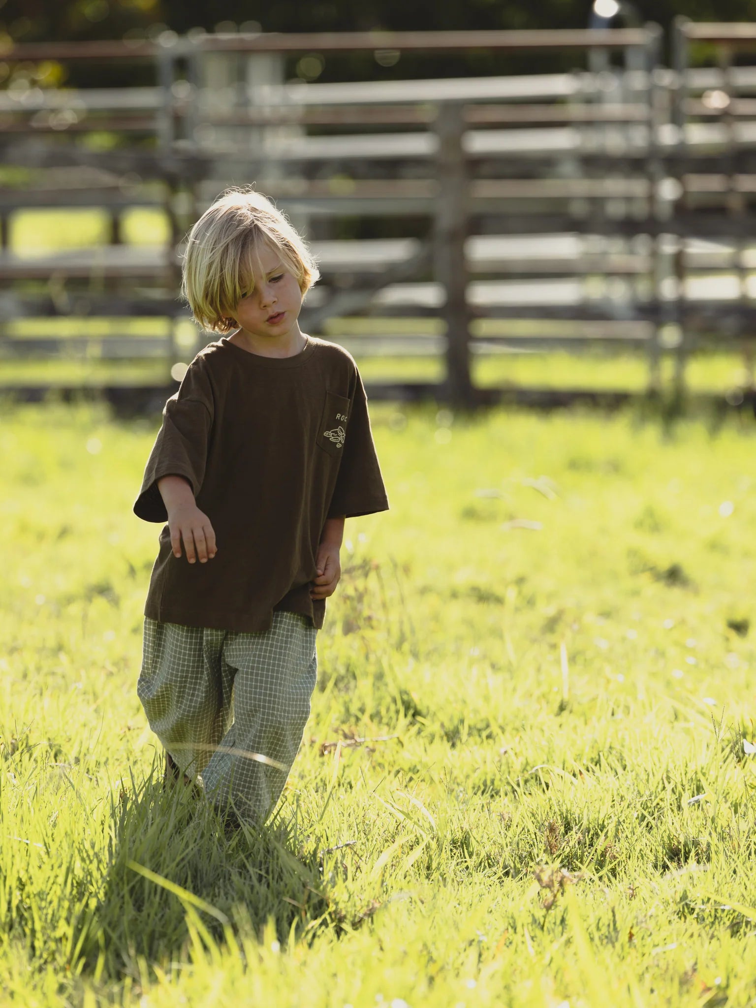 valencia rio pant - avacado - pre order