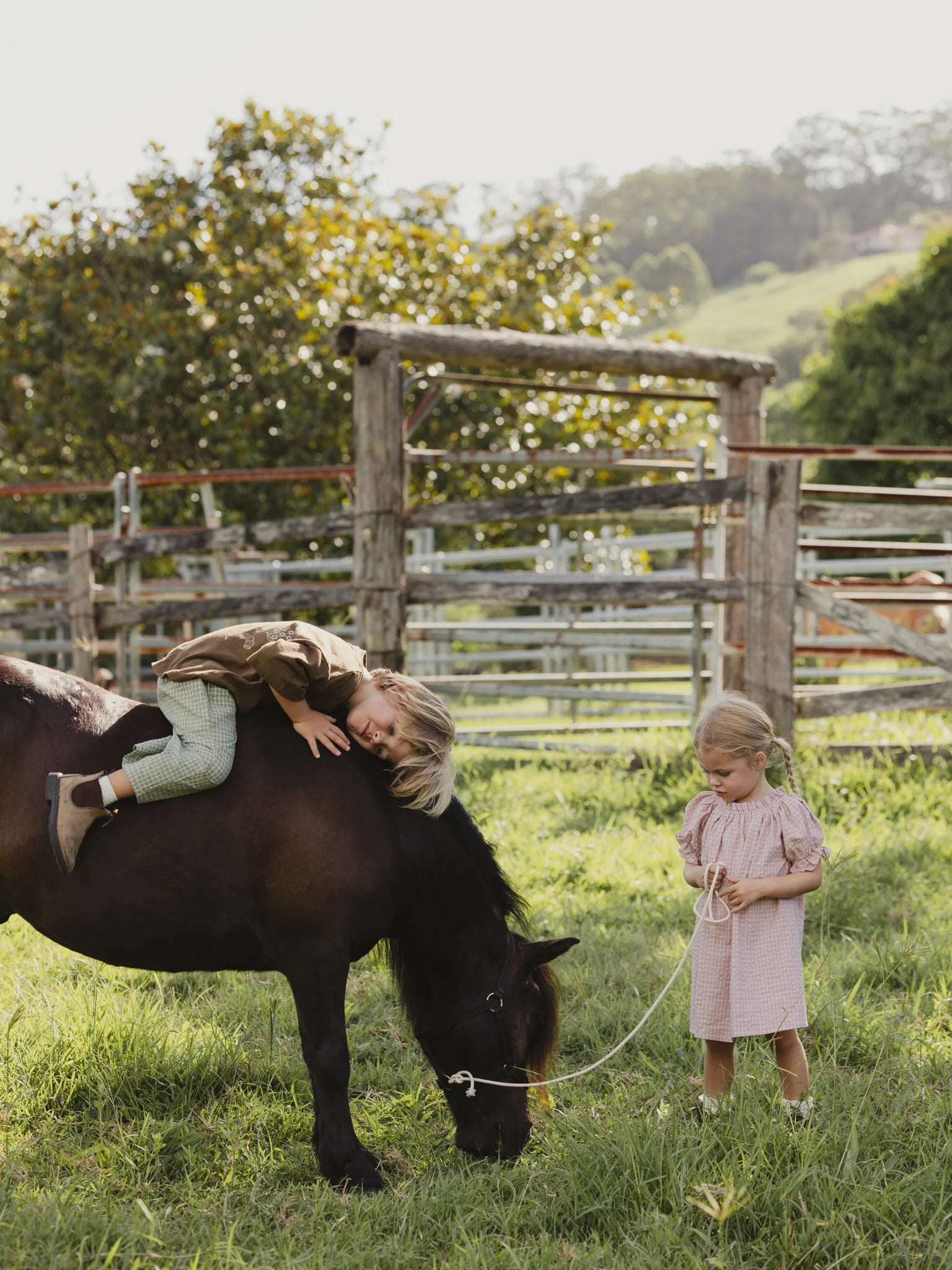 valencia rio pant - avacado - pre order