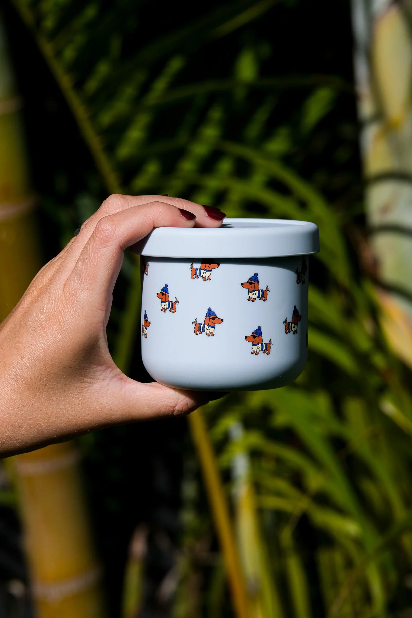 bbcino dagwood snack pot - 250ml