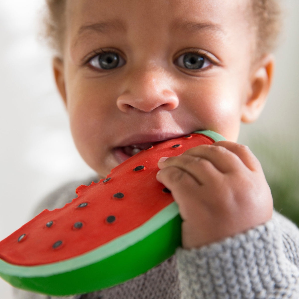 oli & carol - wally the watermelon teether