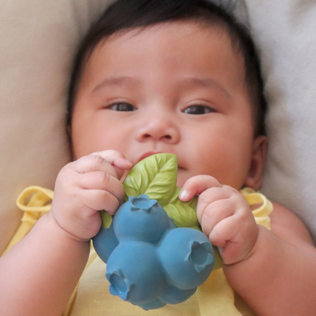 oli & carol - jerry the blueberry teether