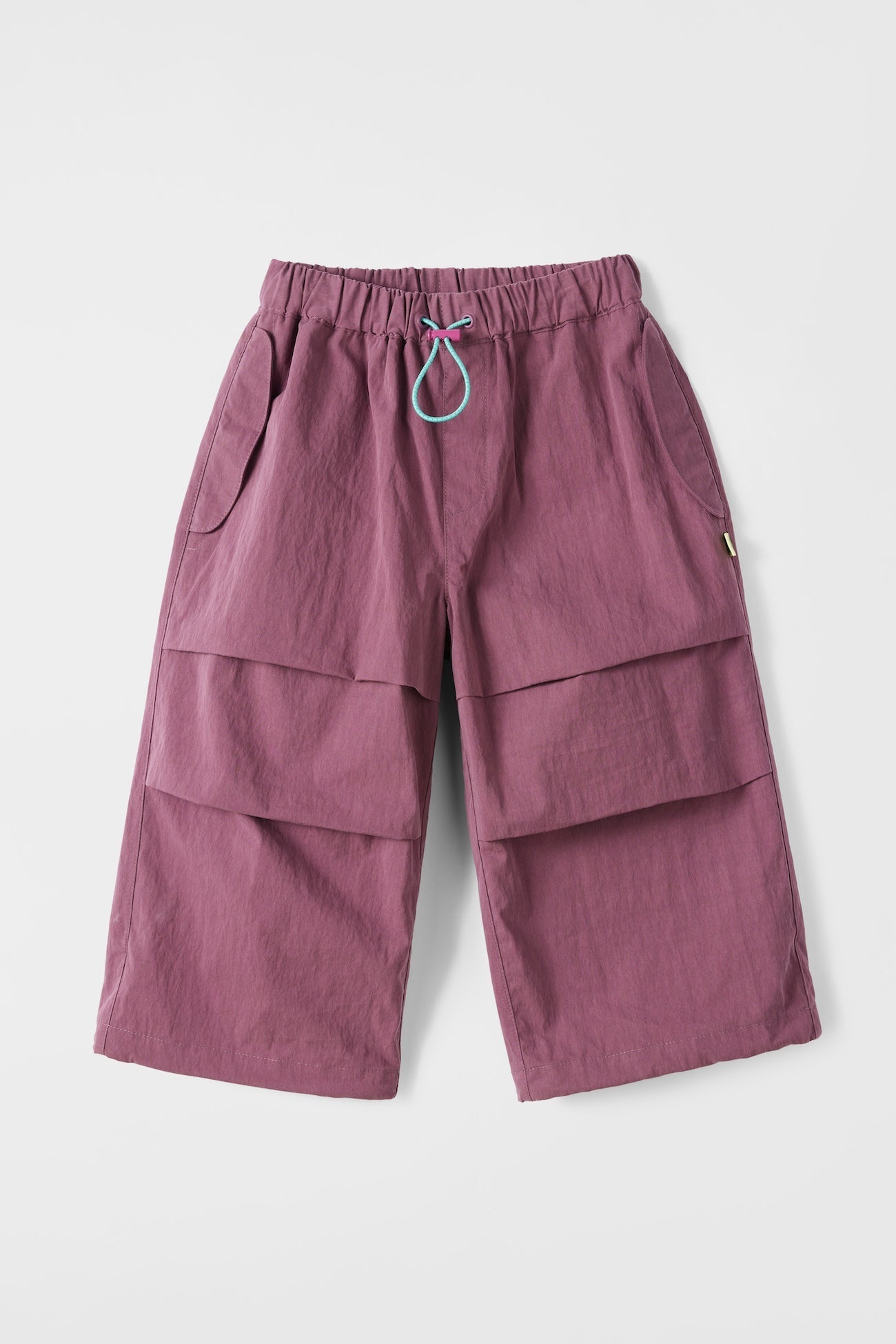 cubby tech pants - fig