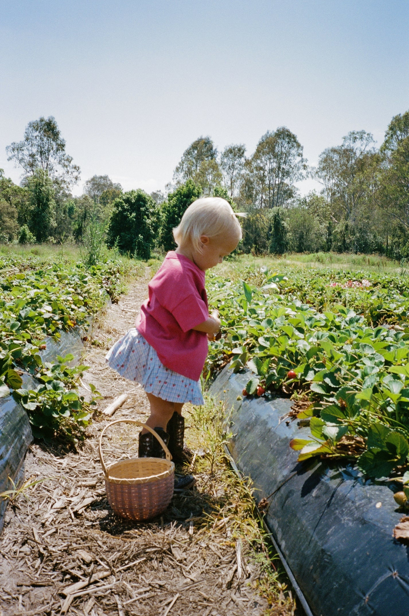 juni jnr poet bubble skirt - strawberry check