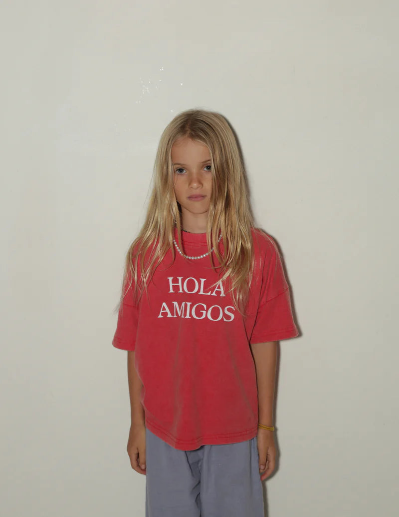 summer and storm oversized tee -  hola amigos