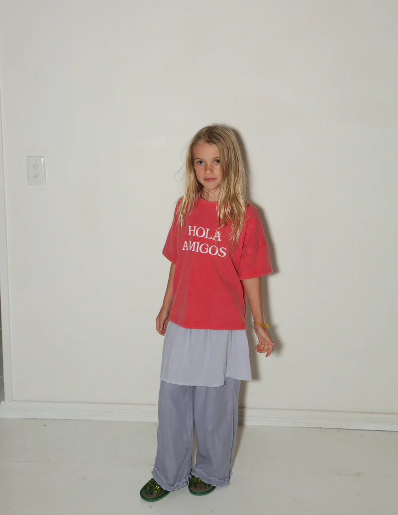 summer and storm oversized tee -  hola amigos