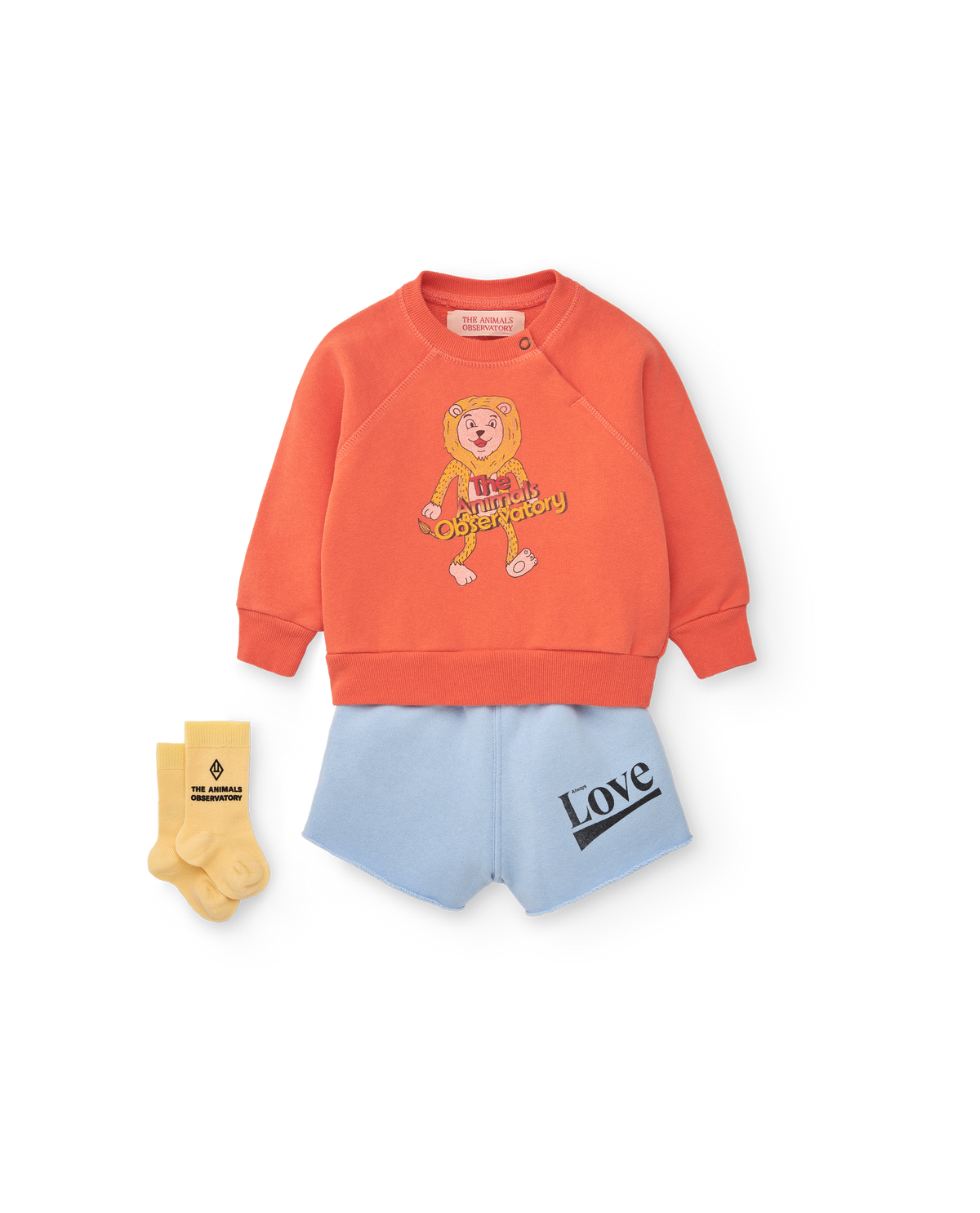 the animals observatory jackal baby sweatshirt - lion