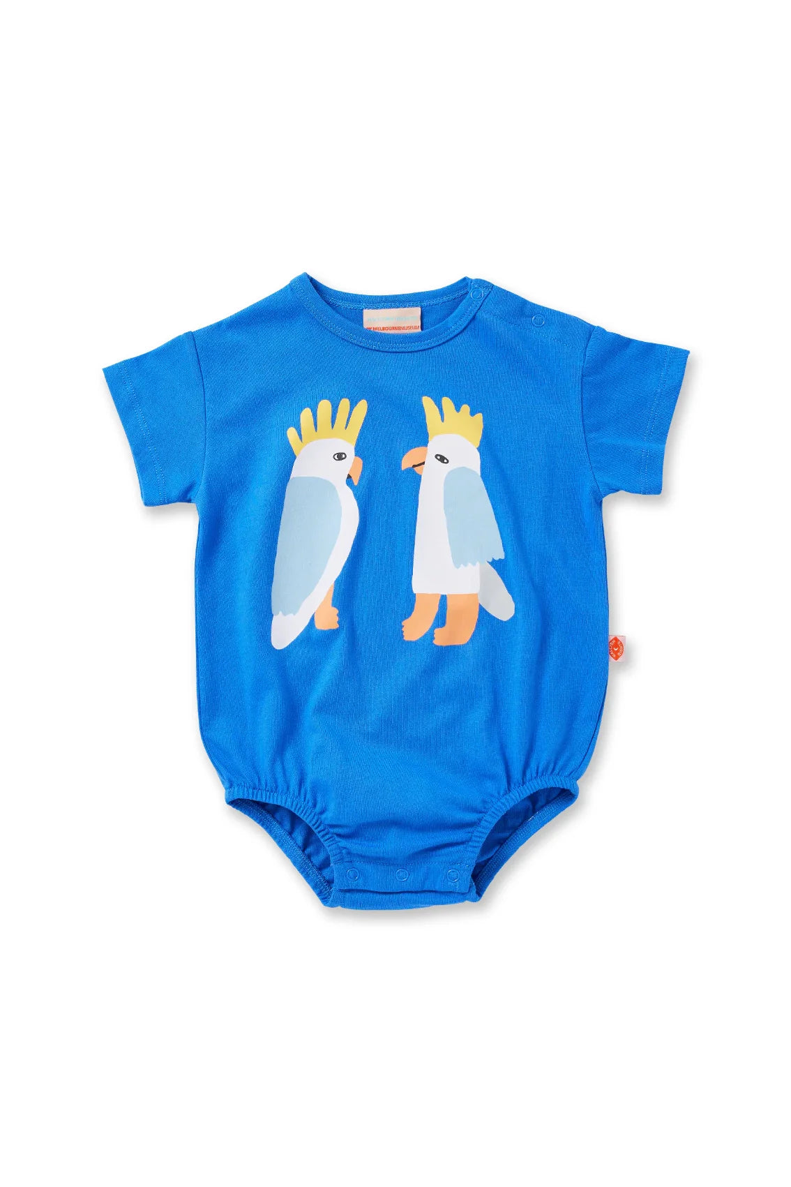 halcyon nights ss bodysuit - blue cockatoo