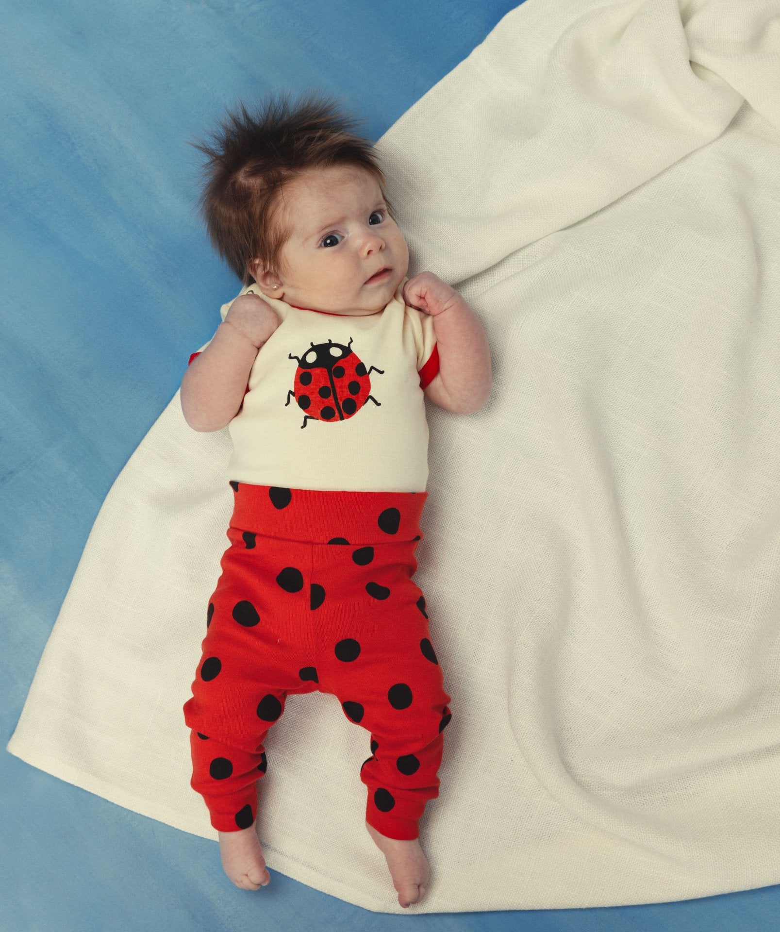 mini rodini ladybugs sp ss body