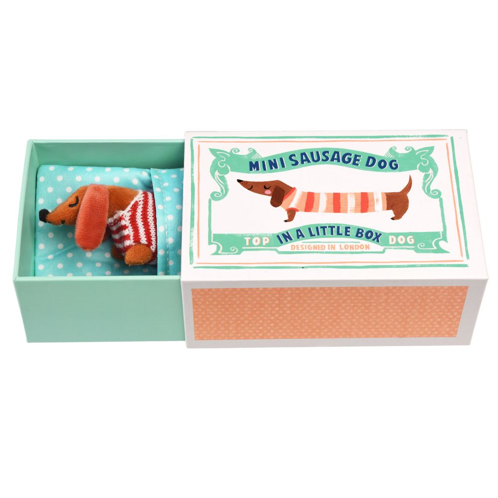 rex london mini sausage dog in a box