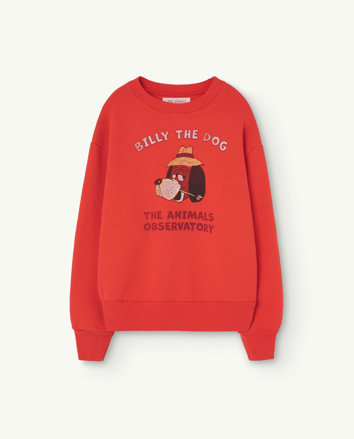 the animals observatory kids billy bear sweatshirt - red