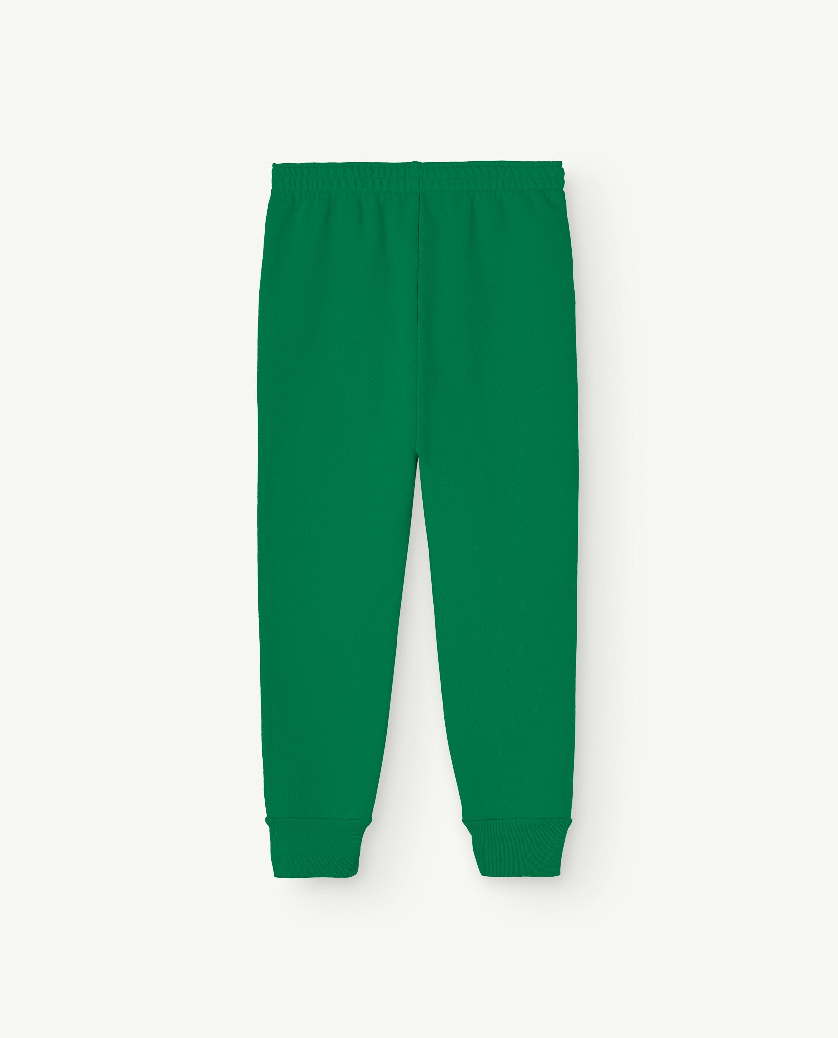 the animals observatory kids draco pants - green