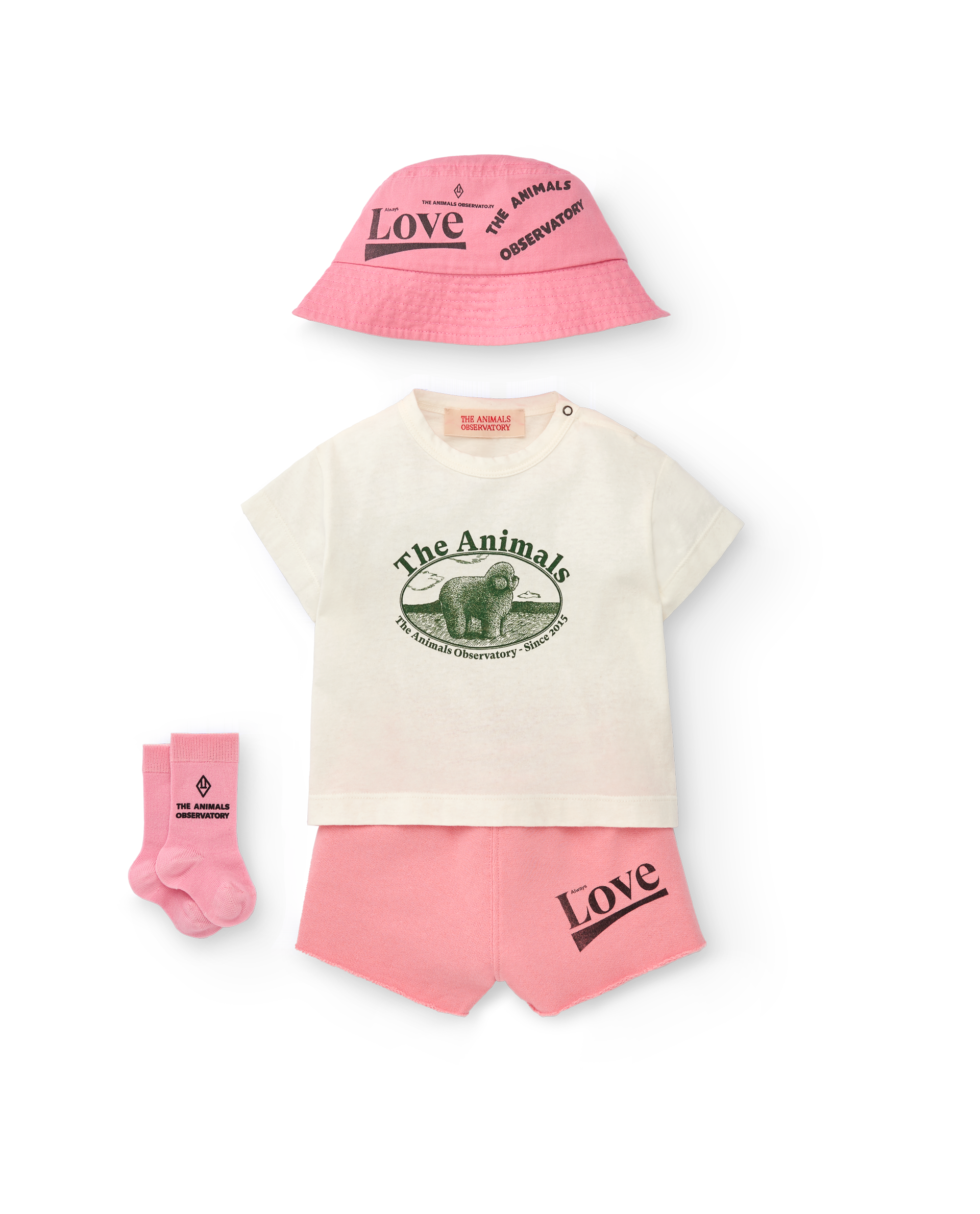 the animals observatory pink love turtledove baby shorts