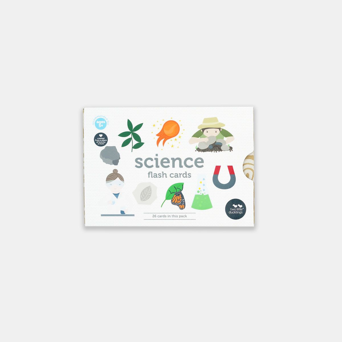 two little ducklings flash cards - science