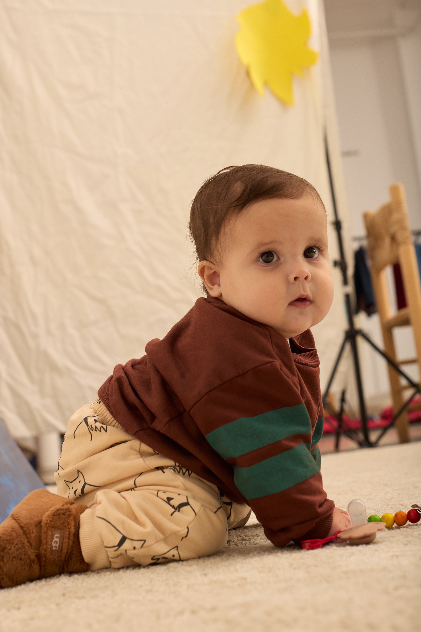 weekend house kids city dog all over baby sweatpants