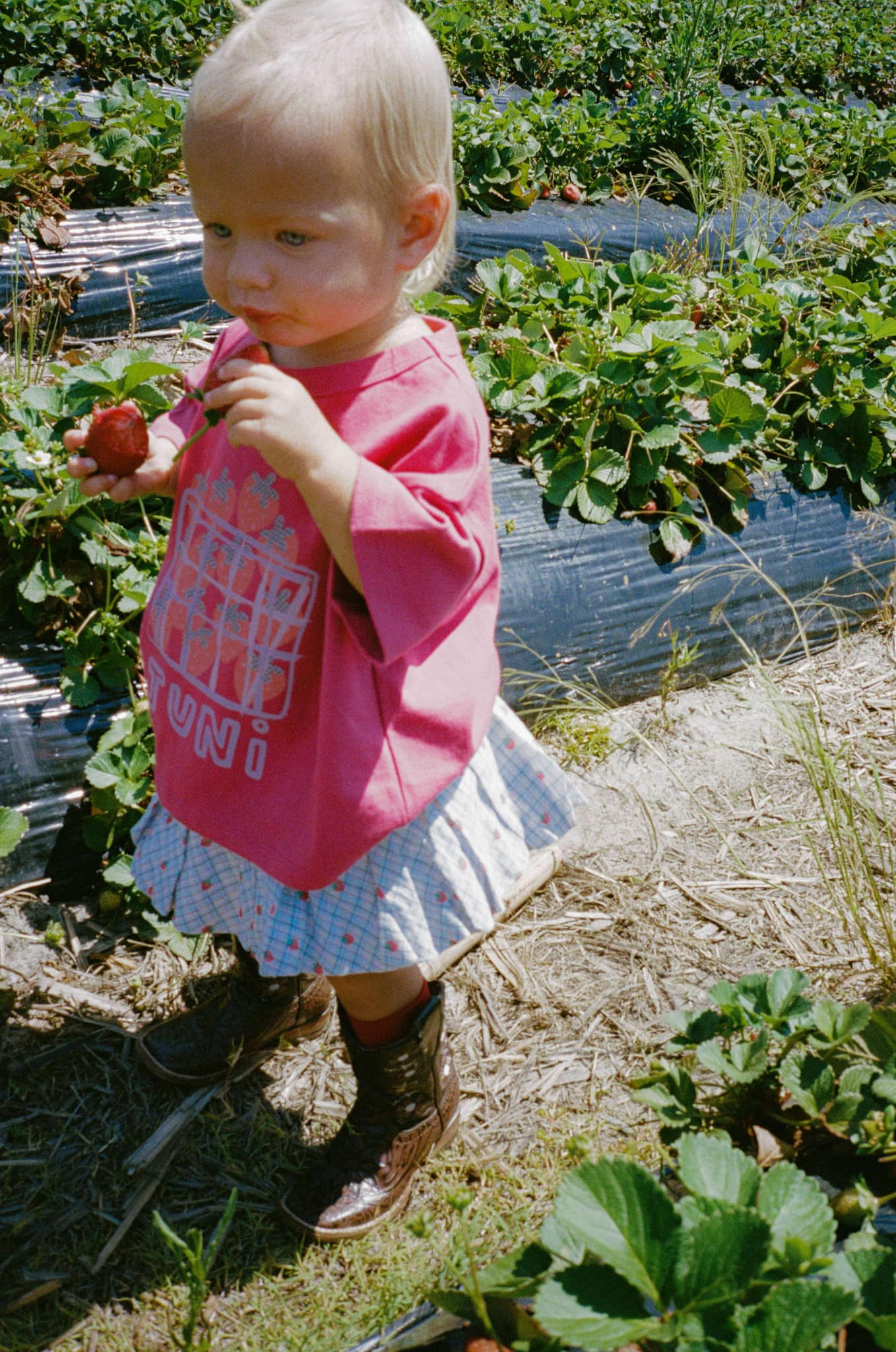 juni jnr punnet tee - berry