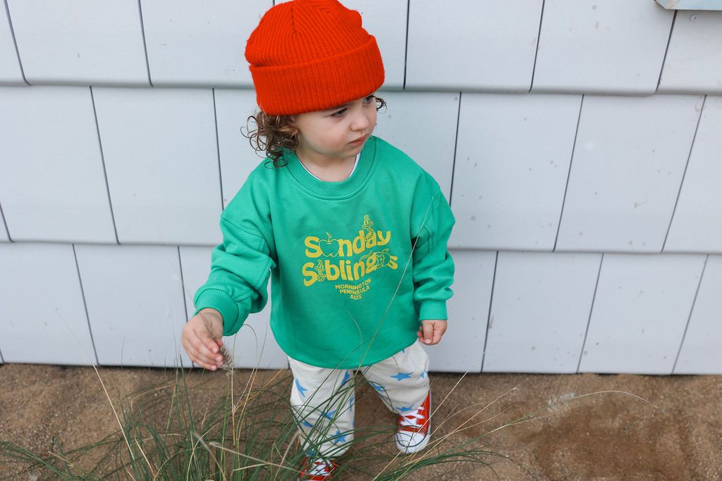 sunday siblings doc sweater - green