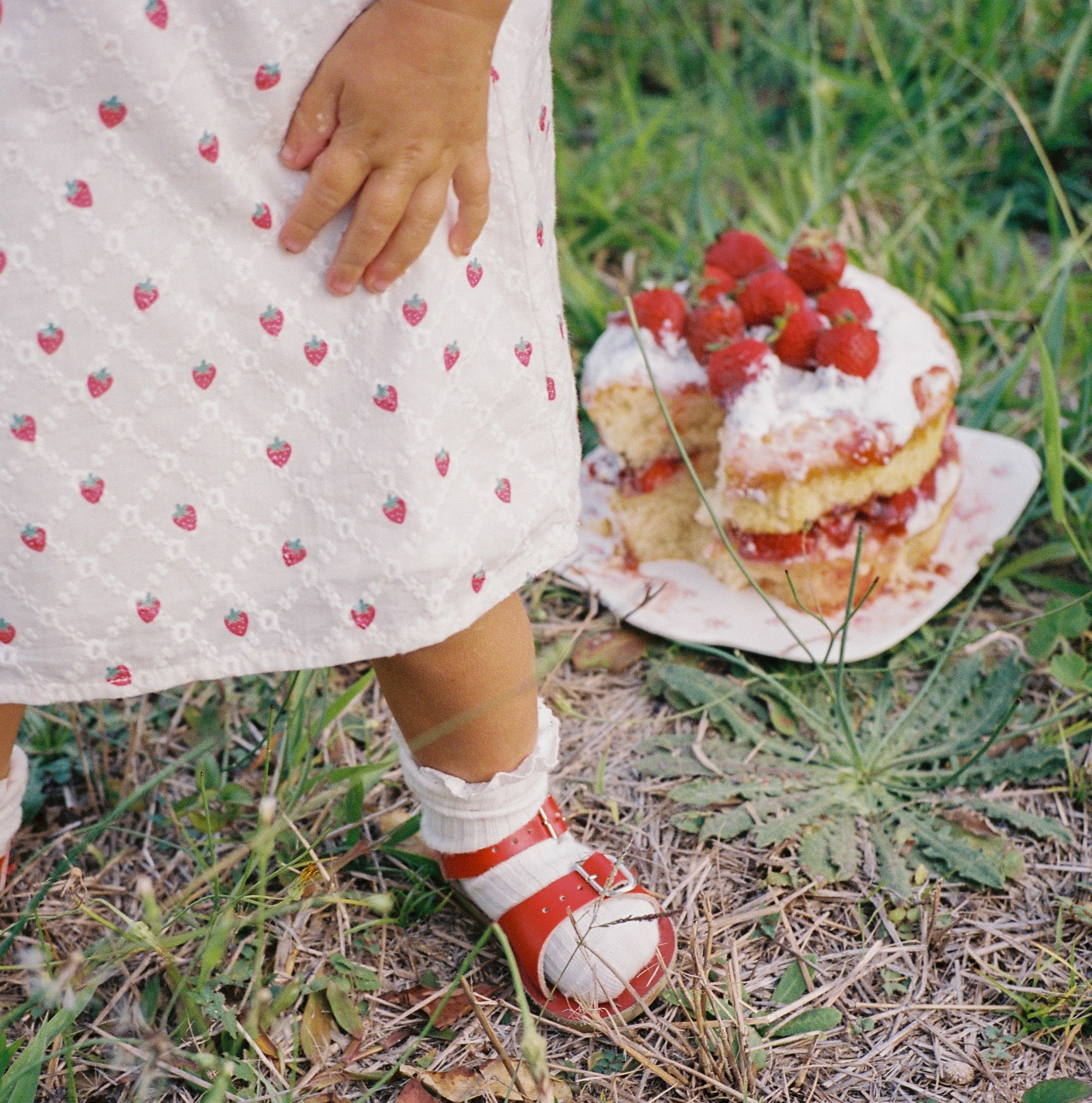 juni jnr penny dress - strawberry broidery