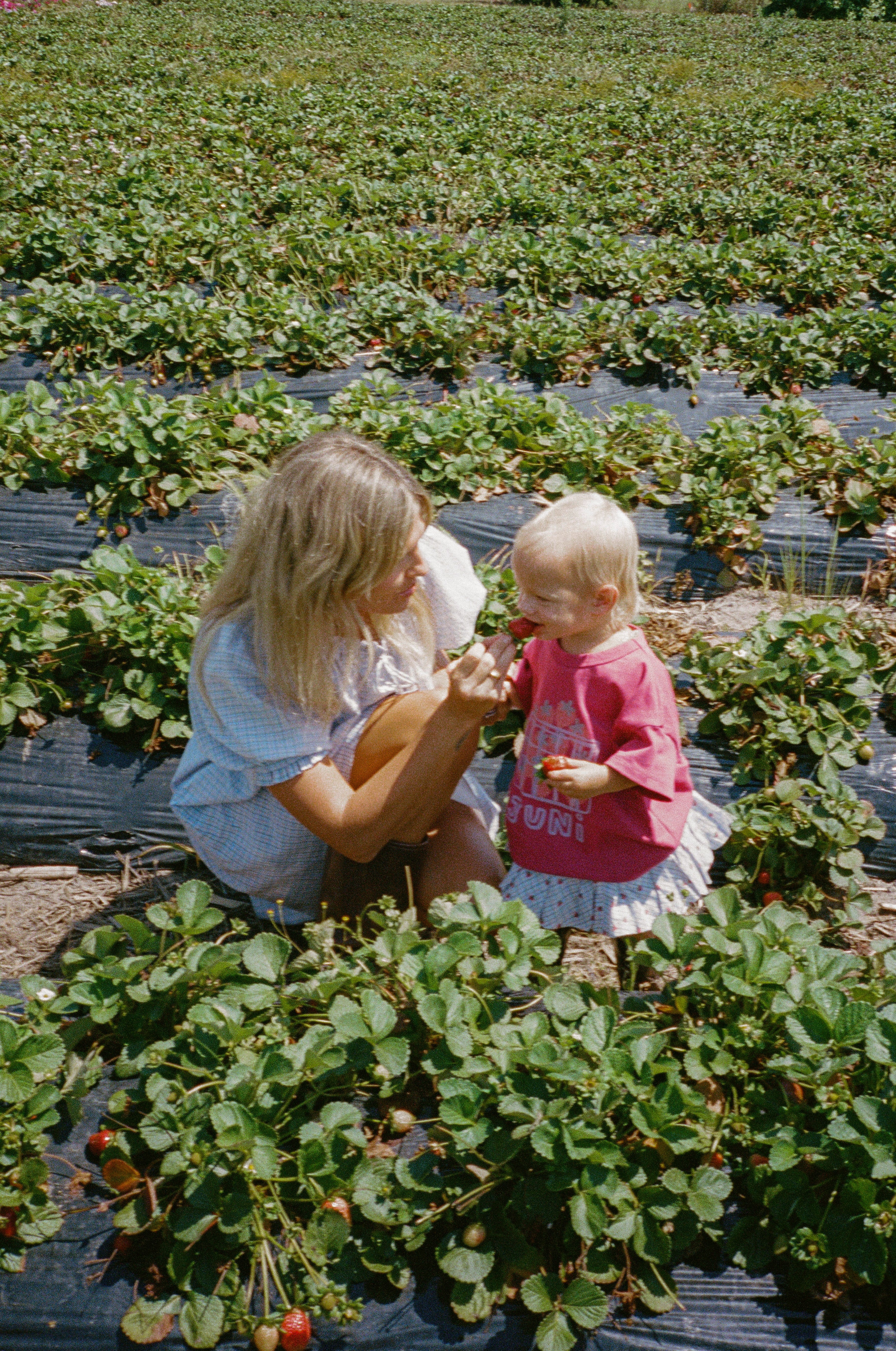 juni jnr punnet tee - berry