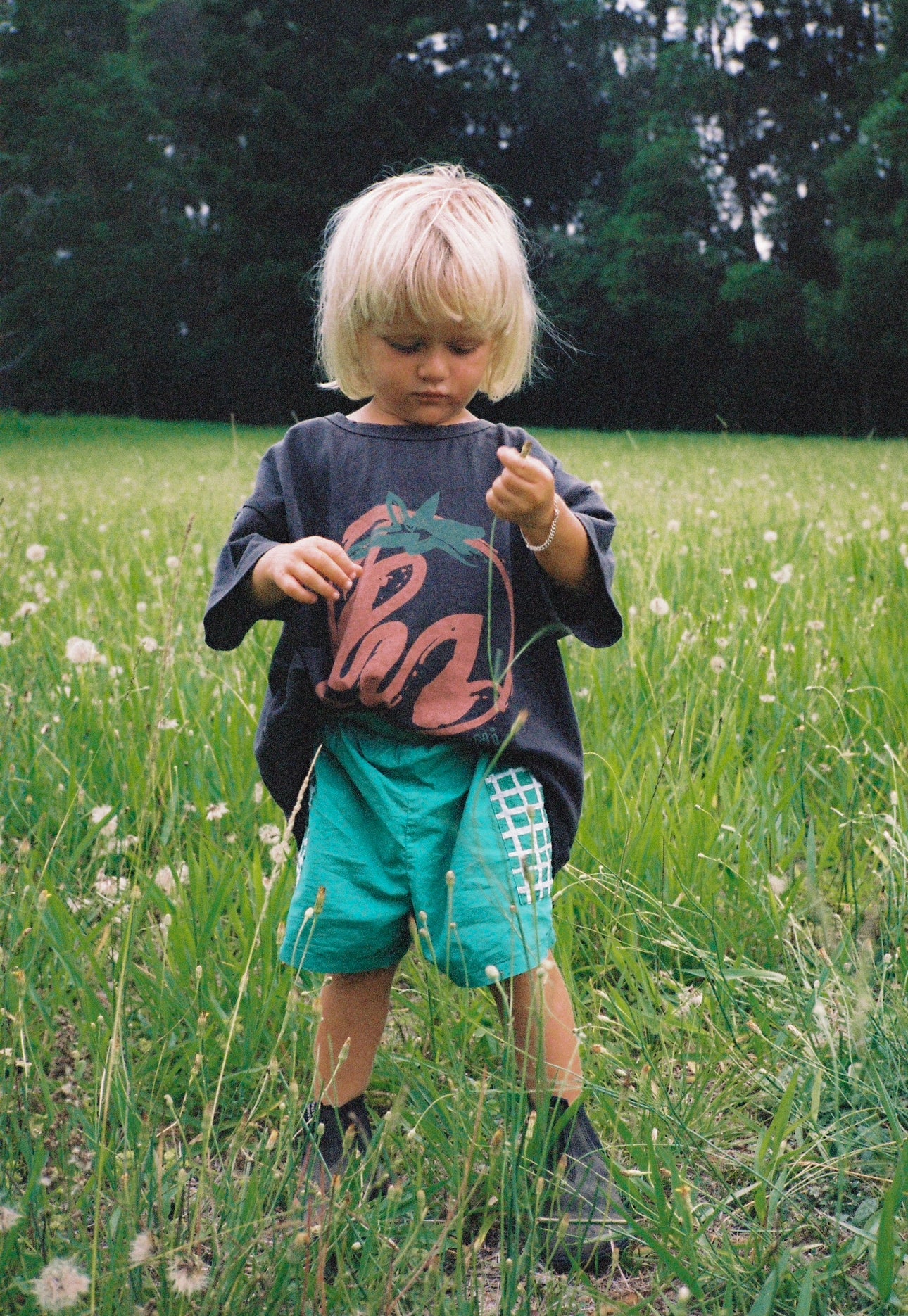 juni jnr bowie shorts - verde