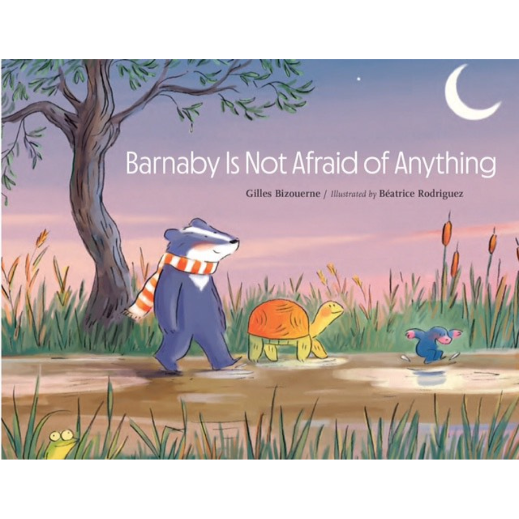 book - barnaby is not afraid of anything